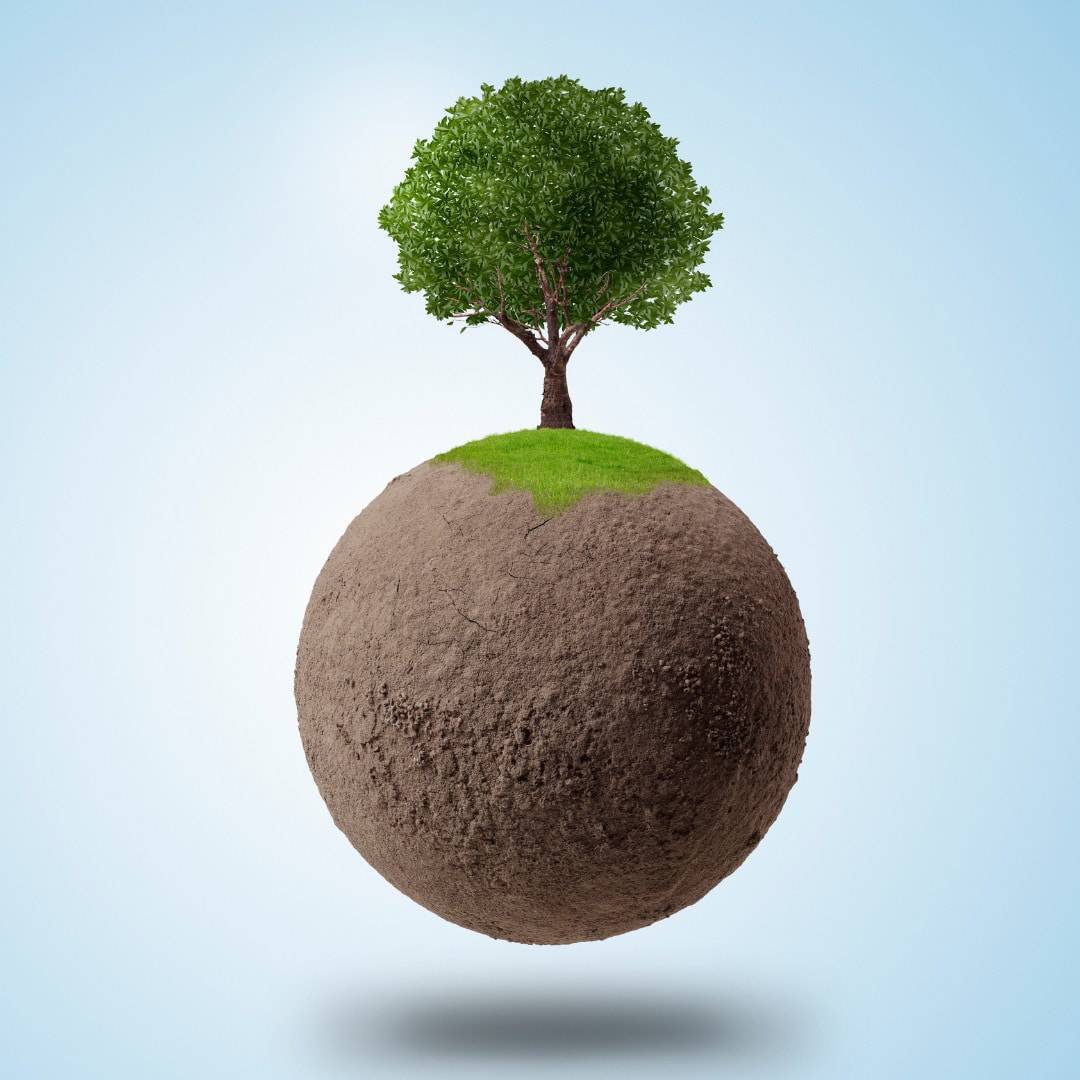 carbon management