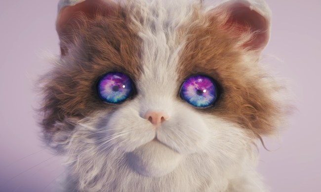 A cat stares ahead with galaxies reflecting in its eyes in Catly.