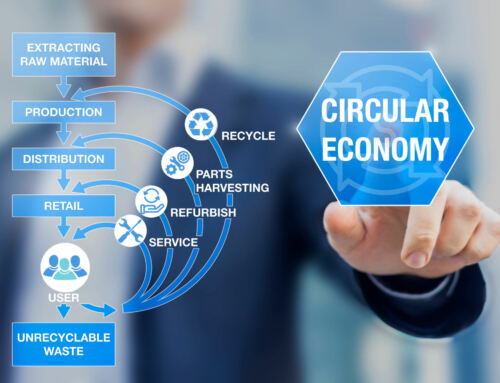 ESG Case Study: Circular Economy in Manufacturing Industry