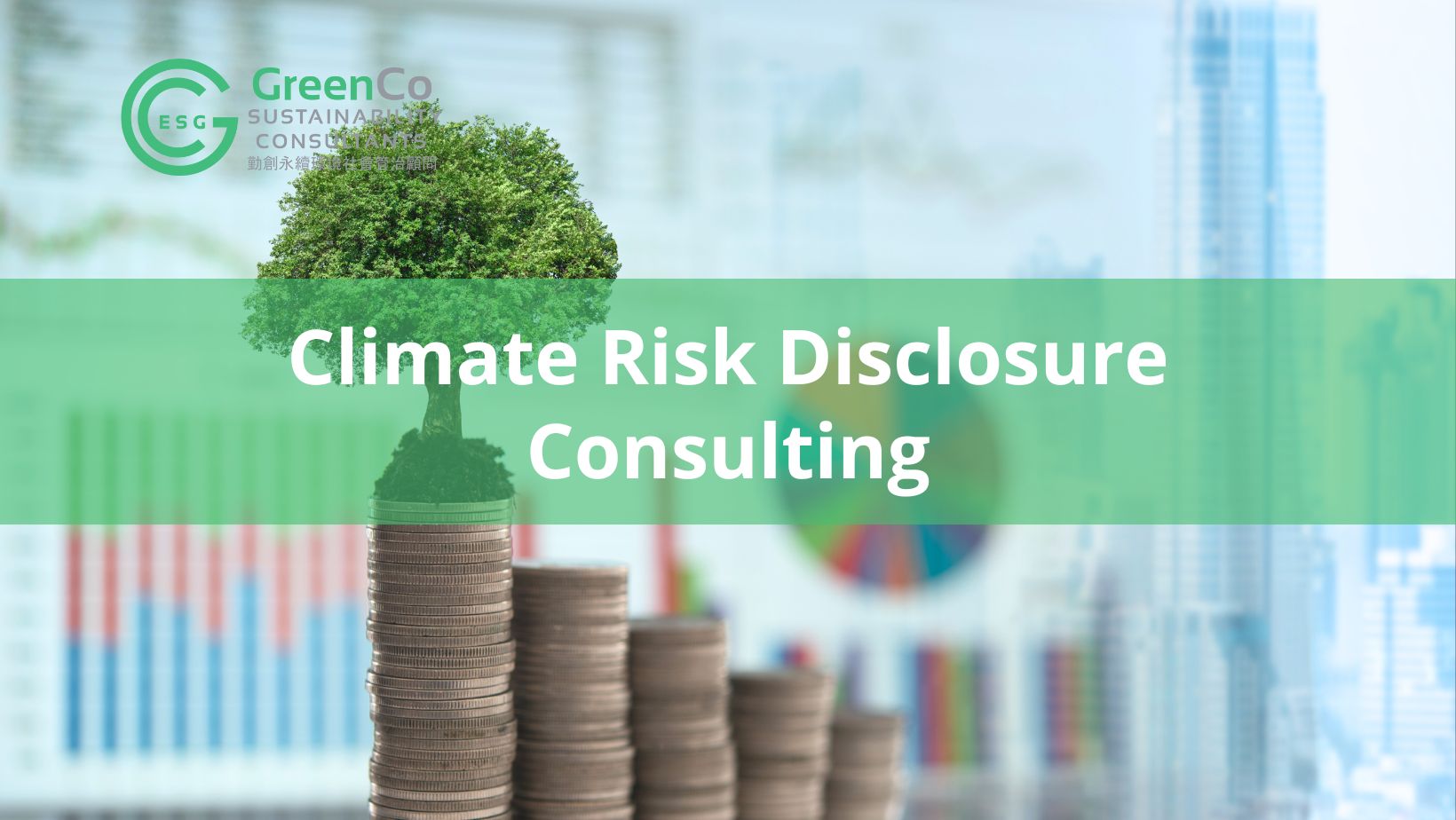 Climate Risk Disclosure Consulting