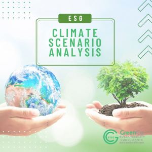 Climate Scenario Analysis for a Listed Company