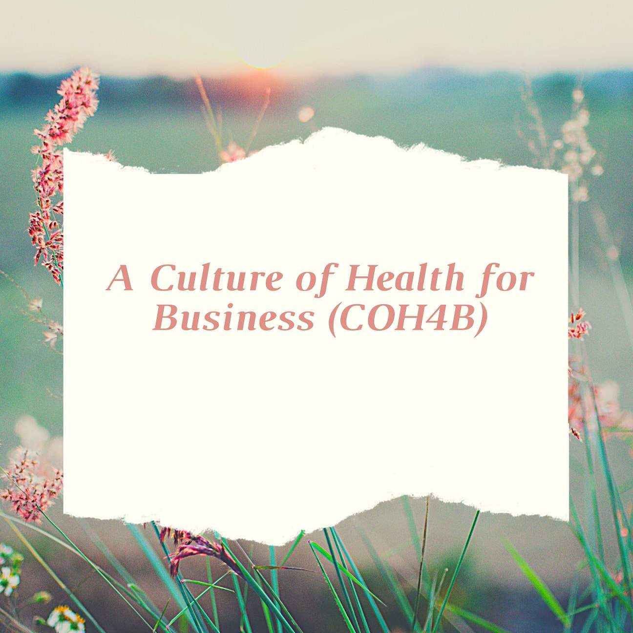 COH4B featured