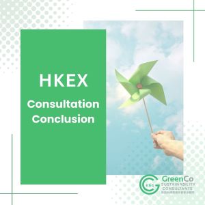 Interpretation-HKEX-consultation-conclusion
