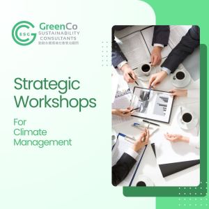 Strategic Workshops