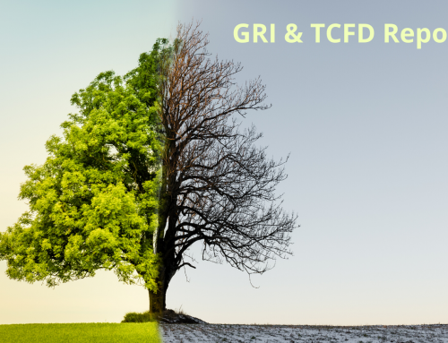 How to take advantage of GRI Standards to facilitate the disclosire under TCFD recommendations?